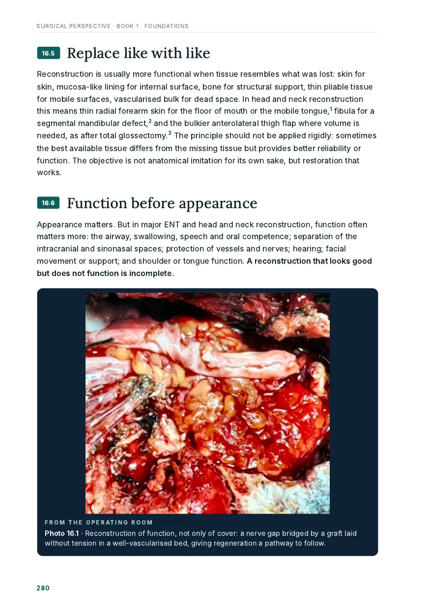 Page 305